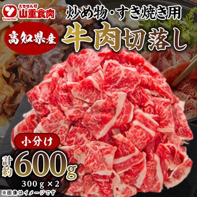 ふるさと納税 高知市 高知県産 牛肉切り落とし 炒め物・すき焼き用 約600g[小分け約300g×2][AP079]