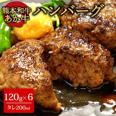 ふるさと納税 阿蘇市 あか牛100%ハンバーグセット(あか牛ハンバーグ120g×6個 あか牛のたれ200ml)(阿蘇市)
