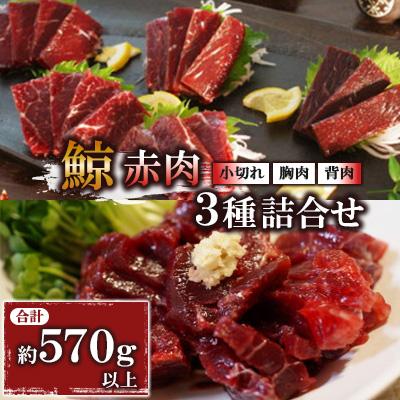ふるさと納税 長崎市 くじら赤肉3種詰め合わせ(小切れ約170g、胸肉約170g、背肉230〜280g)