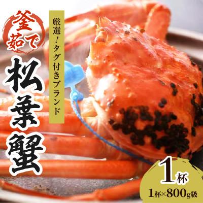 ふるさと納税 京丹後市 ズワイガニ[厳選!タグ付きブランド]茹で松葉かに 鮮度品質自慢!釜茹でにてお届け! 800g級×1杯