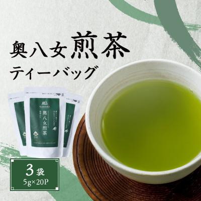 ふるさと納税 八女市 奥八女煎茶ティーバッグ(5g×20P)3袋 | 