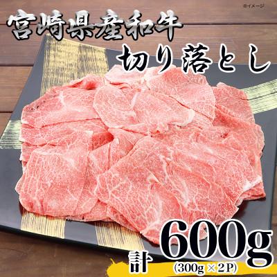 ふるさと納税 日之影町 [ふるさと納税]宮崎県産 黒毛和牛 切り落とし 計600g (300g×2) 国産 牛肉 冷凍 小分