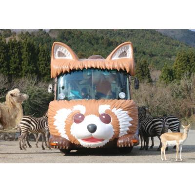 ふるさと納税 美祢市 秋吉台サファリランド　入園年間フリーパス引換券(大人※中学生以上) |  | 03