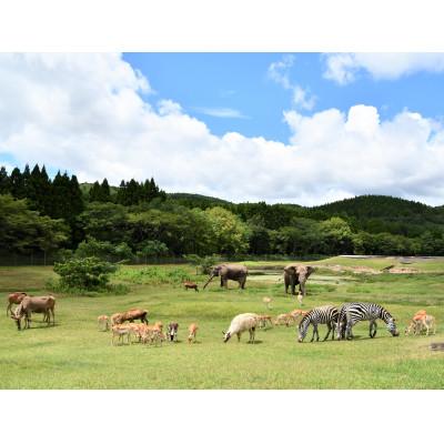 ふるさと納税 美祢市 秋吉台サファリランド　入園年間フリーパス引換券(小人 ※3歳以上小学生以下) |  | 01
