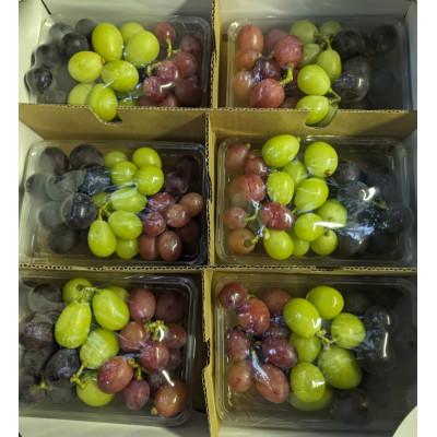 ふるさと納税 生坂村 ぶどう三色パック(420g×6パック)