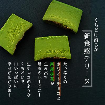 ふるさと納税 西尾市 西尾抹茶のテリーヌ　濃厚抹茶スイーツ テリーヌショコラ(500g)・A165-13-1 |  | 02