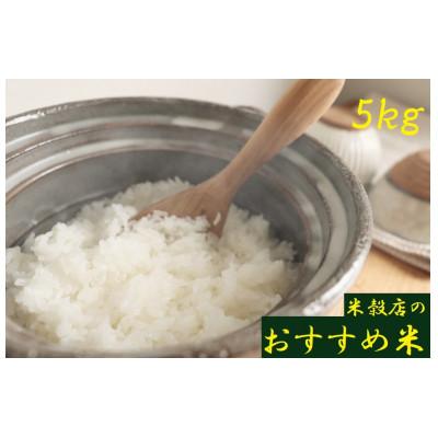 ふるさと納税 紀の川市 令和7年産[紀の川市産地米]米穀店のおすすめ 白米5kg(5kg×1袋入)品種指定なし