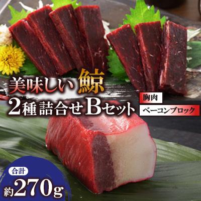 ふるさと納税 長崎市 美味しい鯨2種詰め合わせBセット(胸肉約170g、ベーコンブロック約100g)
