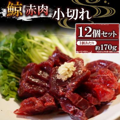 ふるさと納税 長崎市 赤肉小切れ 約170g ×12個セット