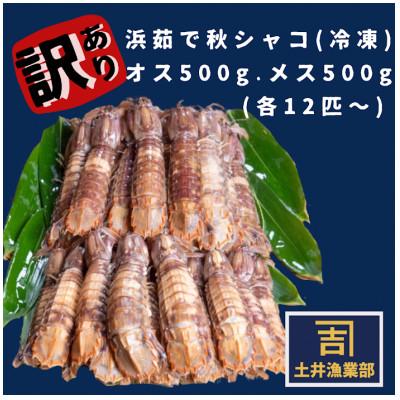 ふるさと納税 小樽市 [訳あり]北海道小樽産 漁師直送浜茹でシャコ(冷凍)オス500gメス500g計1kg(各12匹〜)
