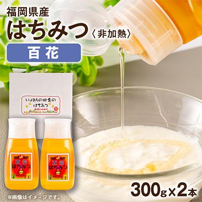 ふるさと納税 大牟田市 福岡県産純粋非加熱蜂蜜【百花蜜】300g SSCボトル入り　2本セット | 