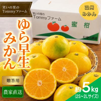 ふるさと納税 日高川町 10月中旬から発送[贈答用・秀品]ゆら早生みかん 5kg(2S〜2L)