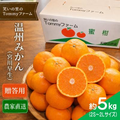 ふるさと納税 日高川町 11月下旬から発送[贈答用・秀品]宮川早生みかん 5kg(2S〜2L)
