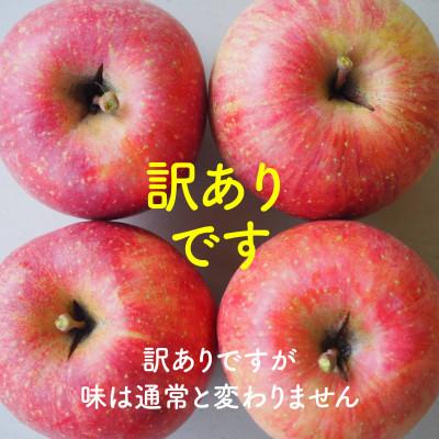 ふるさと納税 豊丘村 【丘の上ファーム】完熟りんご「サンふじ」訳あり5kg(11-20玉)　2026年12月発送 |  | 02