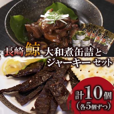 ふるさと納税 長崎市 大和煮缶詰とジャーキーセット(各5個)