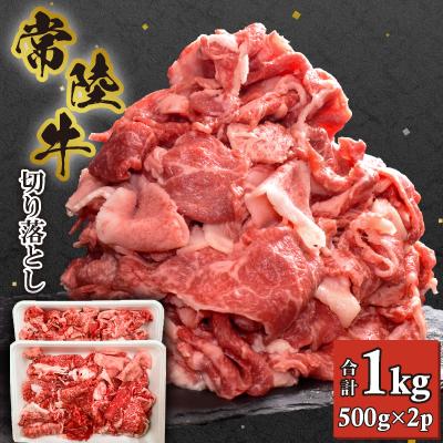 ふるさと納税 茨城県 【常陸牛】切り落とし 1kg (500g×2) | 
