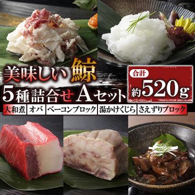 ふるさと納税 長崎市 美味しい鯨5種詰め合わせAセット(大和煮、オバ、ベーコンブロック、湯かけくじら、さえずりブロック)