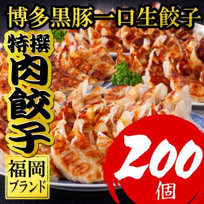 ふるさと納税 福岡市 [200個!!][福岡ブランド]博多黒豚一口生餃子 8パック小分 福岡県産ラー麦皮使用