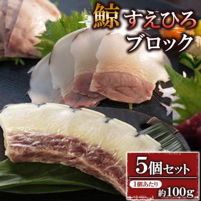 ふるさと納税 長崎市 すえひろブロック約100g×5個セット
