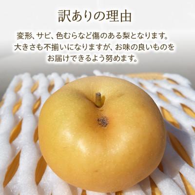 ふるさと納税 箕輪町 2026年秋!信州の梨【南水】訳あり　約5kg　信州が生んだ甘い梨! |  | 01