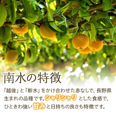 ふるさと納税 箕輪町 2026年秋!信州の梨【南水】訳あり　約5kg　信州が生んだ甘い梨! |  | 02