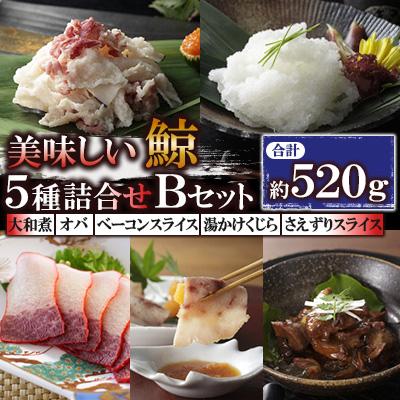 ふるさと納税 長崎市 美味しい鯨5種詰め合わせBセット(大和煮、オバ、ベーコンスライス、湯かけくじら、さえずりスライス)