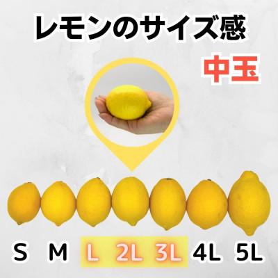 ふるさと納税 有田川町 レモン 国産 秀品 中玉 箱込 2.5kg(内容量2.3kg) L 2L 3L ミックス 和歌山県産 |  | 01