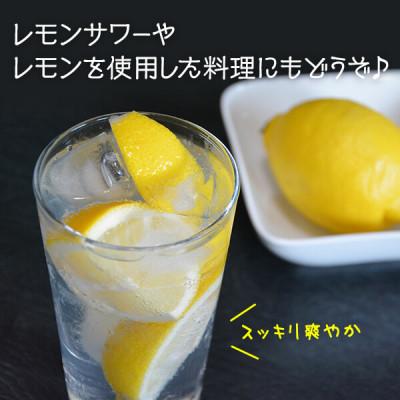 ふるさと納税 有田川町 レモン 国産 秀品 中玉 箱込 2.5kg(内容量2.3kg) L 2L 3L ミックス 和歌山県産 |  | 03