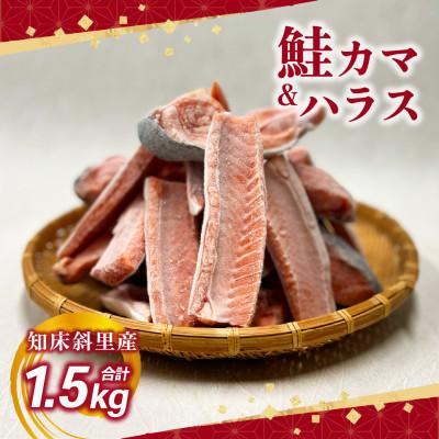 ふるさと納税 斜里町 [数量限定] 知床斜里産 天然秋鮭カマ&amp;ハラス 1.5kg 船上活締め