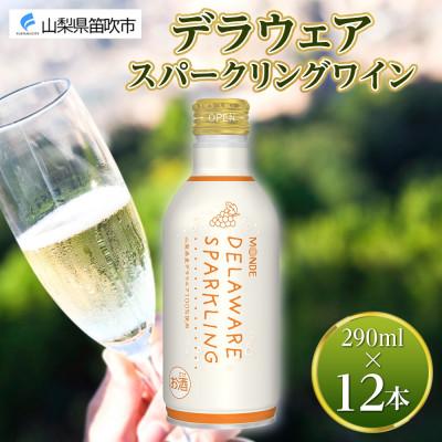 ふるさと納税 笛吹市 モンデ酒造の デラウェアスパークリング 290ml 12本入 山梨県 笛吹市