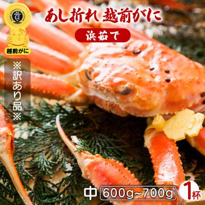 ふるさと納税 越前町 地元鮮魚店厳選 [訳あり] ≪浜茹で≫ 足折れ 越前がに 中サイズ 1杯[3月発送分]