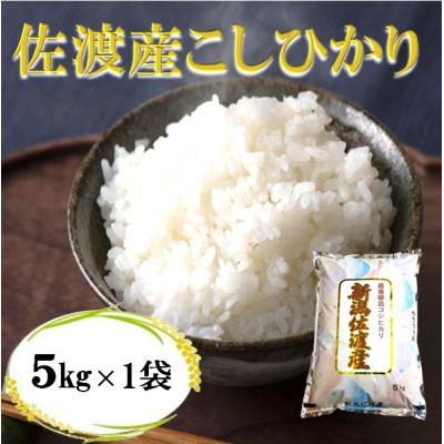 ふるさと納税 佐渡市 [令和7年産]佐渡高千産コシヒカリ5kg(精米)