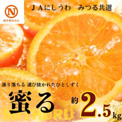 ふるさと納税 八幡浜市 JAにしうわの季節の柑橘(みつる共選「蜜る」約2.5kg)[C08-74]