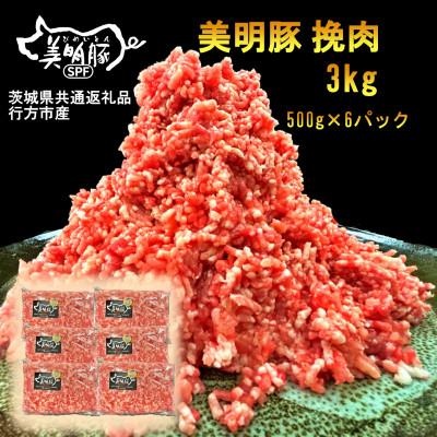 ふるさと納税 河内町 [美明豚]挽肉(500g×6パック)(茨城県共通返礼品・行方市産)