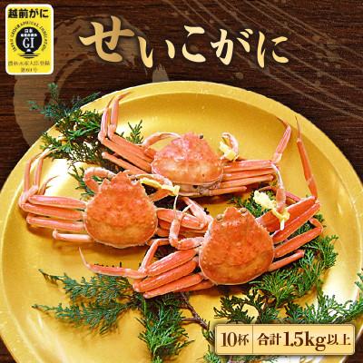 ふるさと納税 越前町 地元鮮魚店厳選 ≪浜茹で≫ 越前せいこがに 10杯[11・12月発送]