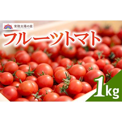 ふるさと納税 常陸大宮市 フルーツトマト 1kg
