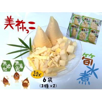 ふるさと納税 美祢市 たけのこの水煮 美祢っこ(ミニ3種・6個セット)