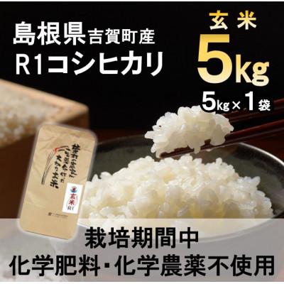 ふるさと納税 吉賀町 [栽培期間中化学肥料・化学農薬不使用]令和7年産R1米コシヒカリ5kg(玄米)