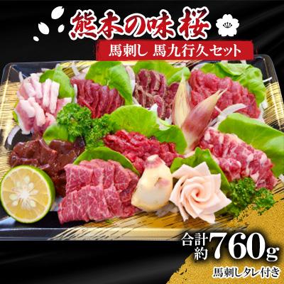 ふるさと納税 山鹿市 熊本の味「桜」 馬刺し 馬九行久セット 約760g タレ付