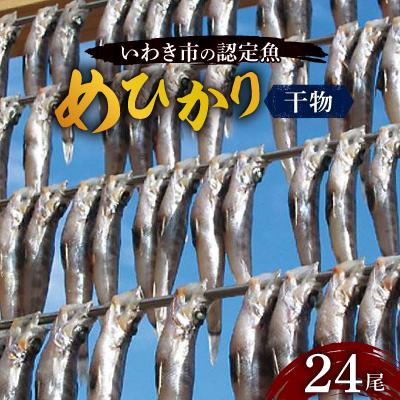 ふるさと納税 いわき市 いわき市の魚 めひかりの干物 24尾