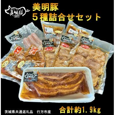 ふるさと納税 河内町 [美明豚]5種の詰め合わせセット(茨城県共通返礼品・行方市産)
