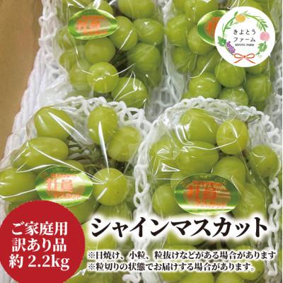 ふるさと納税 真庭市 [訳あり]シャインマスカット ご家庭用/約2.2kg (岡山県産) 食べ応え満足便!