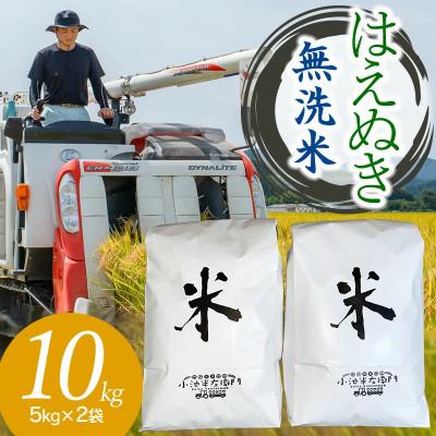 ふるさと納税 鶴岡市 【令和6年産】山形県庄内産 小池半左衛門のお米　はえぬき 無洗米 5kg×2袋 計10kg | 
