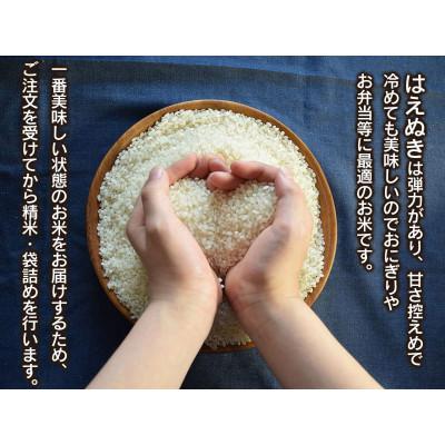 ふるさと納税 鶴岡市 【令和6年産】山形県庄内産 小池半左衛門のお米　はえぬき 無洗米 5kg×2袋 計10kg |  | 01