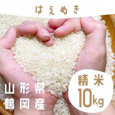 ふるさと納税 鶴岡市 【令和6年産】山形県庄内産 小池半左衛門のお米　はえぬき 精米 5kg×2袋 計10kg | 
