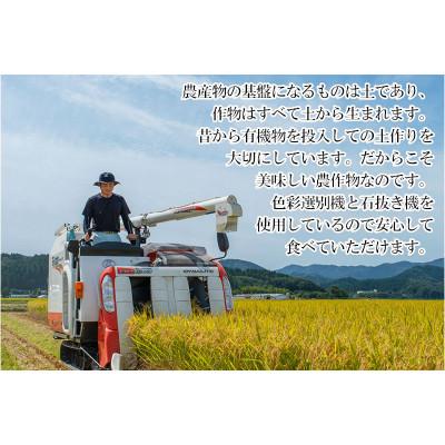 ふるさと納税 鶴岡市 【令和6年産】山形県庄内産 小池半左衛門のお米　はえぬき 玄米 5kg×2袋 計10kg |  | 01