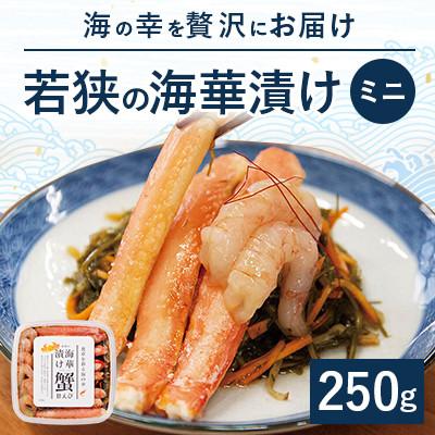 ふるさと納税 高浜町 海の幸を贅沢を味わう!「若狭の海華漬け」ミニ