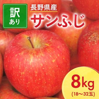 ふるさと納税 中野市 【先行受付】長野県産 サンふじ りんご 家庭用 訳