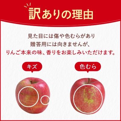 ふるさと納税 中野市 【先行受付】長野県産 サンふじ りんご 家庭用 訳あり 10kg(25〜43玉) |  | 02