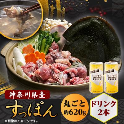 ふるさと納税 山北町 神奈川産すっぽん鍋丸ごと1匹(620g)&amp;ドリンク2本(各180g)セット